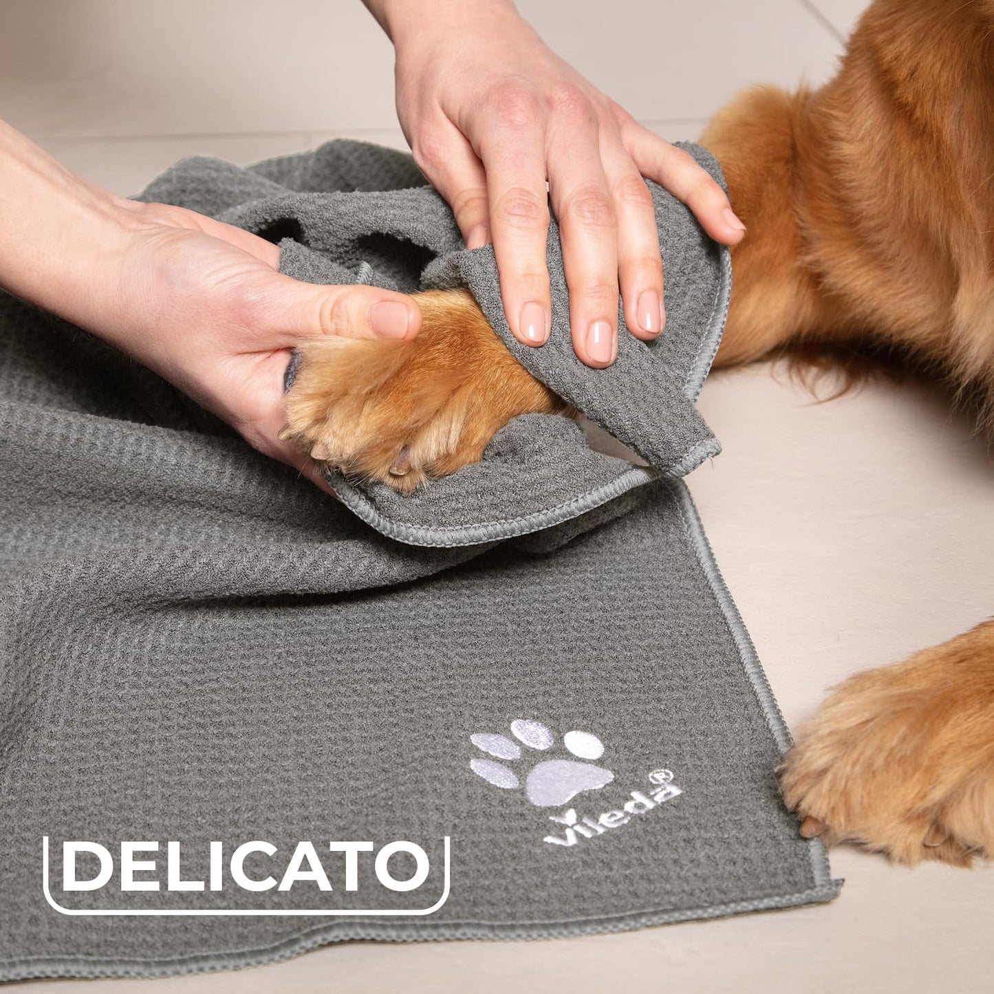 pet cloth 